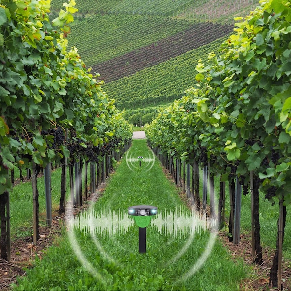 Produktvorschaubild 4