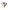 5er-Set Socken DINO Jungen