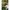 Outdoor Spielküche