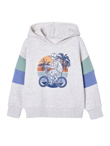 Kapuzensweatshirt mit farbigen ƒrmeln und Prints, Jungen