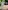 Festliches Jungen-Set: Sakko, Hemd, Hose und Fliege