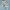 Baby Holzrassel Igel Hantelrassel 2er Set