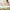 No touch + touch Stirnthermometer mit Age Precision® BNT 400