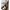 Bundle Sleepi Mini inkl. Matratze und Spannbetttuch, Himmelstange und Himmel
