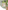 Activity-Baum aus Holz FSC®
