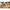 10698 LEGO® Große Bausteine-Box