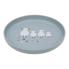 Teller mit Zellulose