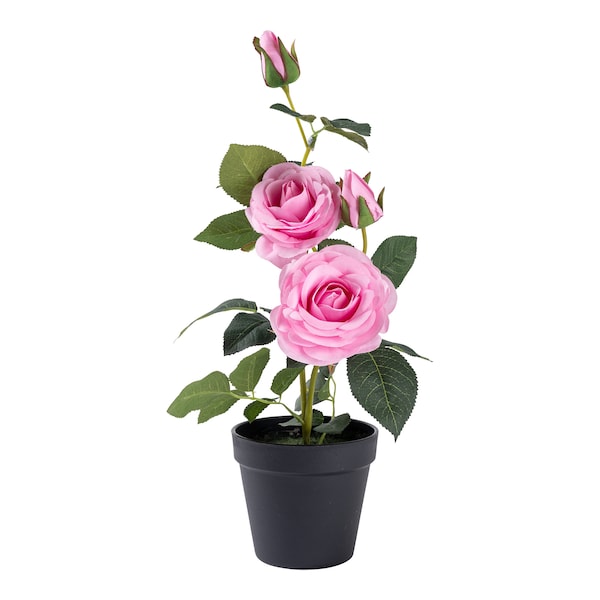 Produktvorschaubild 1