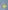 5er-Pack Jungen Slips POKEMON