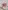 Baby Activity-Decke mit Spielbogen & Umrandung