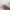 2er-Pack Stilleinlagen aus Merinowolle und Seide, 2-lagig, waschbar