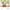 Babynahrungszubereiter und Sterilisator Nutribaby Glass