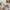 Babywippe Mira 2-in-1