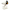 Kuscheltier Snoopy 30cm