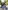 3-in-1-Winterjacke mit herausnehmbarer Teddyfleece-Innenweste Jungen