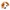 Handpuppe Hund