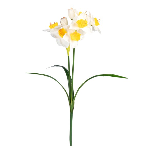 weiß
