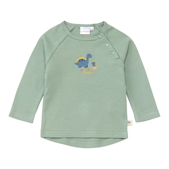 Raglanshirt langarm Dino