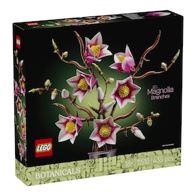 11510 Magnolienzweige