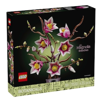 11510 Magnolienzweige