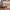 Beistellbett Thomi Plus 5in1