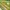 Kindersitzgarnitur Outdoor+, natur  Outdoor+