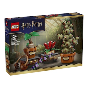 76474 Schloss Hogwarts™: Kräuterkunde-Pflanzen