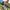 Mountainbike Verona 24 Zoll
