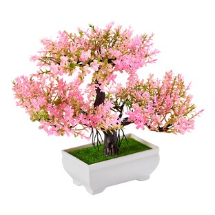 Blühender Bonsai