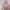 Sommer-Sleepoverall Musselin 0.5 TOG