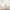 Kinder Teppich Maui Kids Safari Tiere Bunt Rund