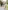 Warme Jungen Winterjacke mit Handschuhen und Recycling-Wattierung