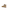 Baby Lauflernboots aus Leder