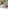 Spieltisch Baby Holz FSC® mit Tieren