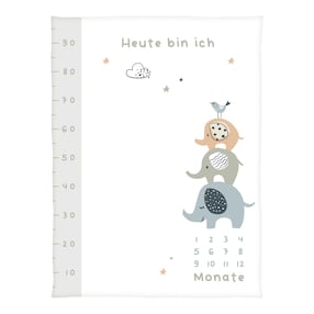 Babydecke Microfaserflausch Meilenstein 75x100 cm