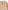 2er-Pack Baby Samt-Strampler mit Tier-Print 75% Bio-Baumwolle