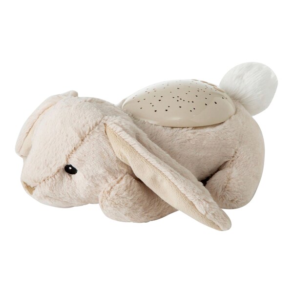 Hase