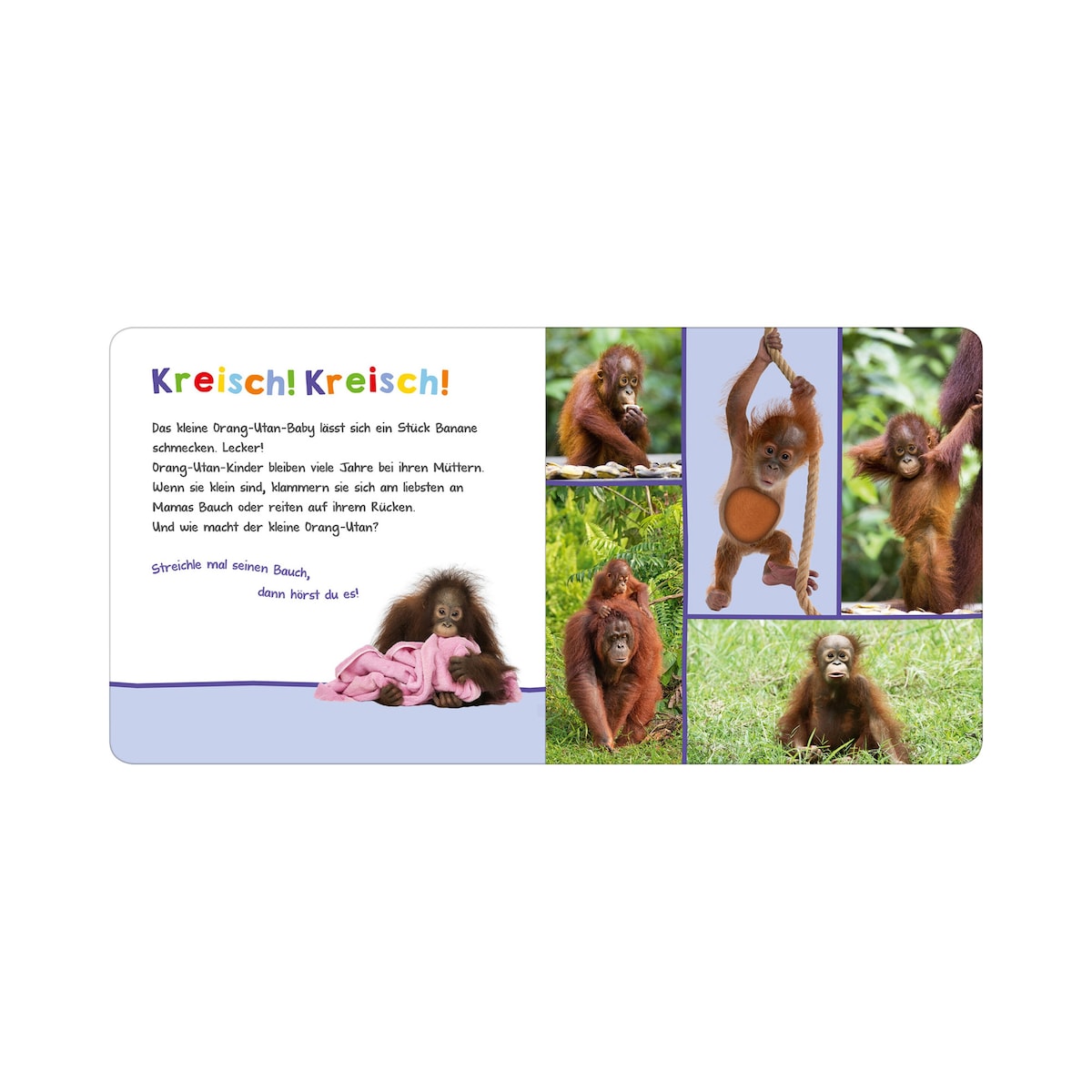 Produktbild 2