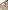 Spieltisch Baby Holz FSC® mit Tieren