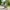 Kinderfahrrad Petitage 14 Zoll