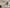 Schreibtisch Basic Smart Grow