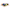 Montessori Sortierkugeln