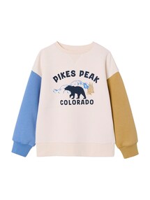 Sweatshirt mit farbigen ƒrmeln f¸r Jungen, Recycling-Polyester
