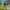 Mountainbike Kansas 20 Zoll / 24 Zoll