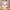 Fingermalfarbe 4 Farben