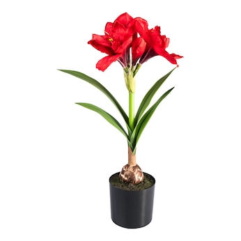 Kunstblume „Amaryllis“