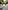 3-in-1-Winterjacke mit herausnehmbarer Teddyfleece-Innenweste Jungen