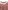 Baby-Set: Samtkleid & Strumpfhose
