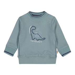 Sweatshirt Dino