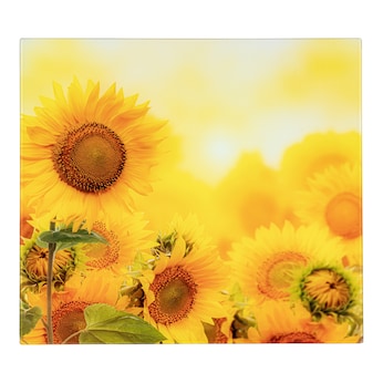 Motivplatte „Sonnenblume“